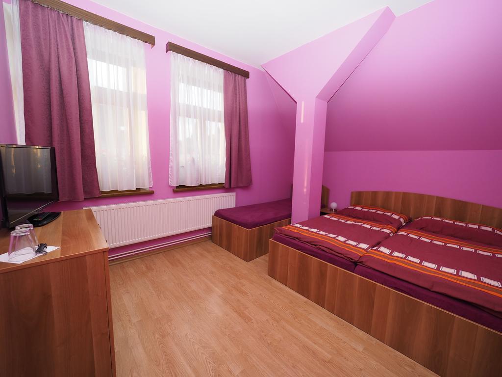 Penzion U Krejzu Dolni Poustevna Exterior photo